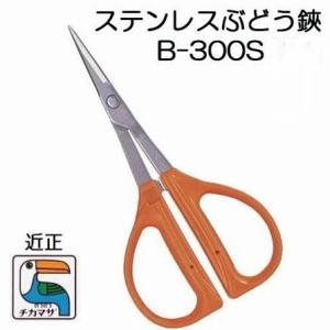 (メール便￥300可) (標準包装) 近正 ステンレス ぶどう鋏 B-300S チカマサ (10本までネコポス)　zm