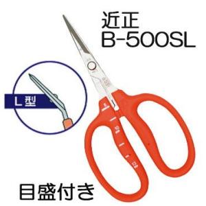 (メール便￥300可) (標準包装) 近正 ステ...の商品画像