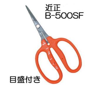 () 近正 ぶどう鋏 B-500SF ステンレス フッソ加工 ぶどう手入れ鋏