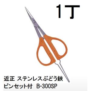 (4丁迄メール便￥300可) 近正 ステンレスぶどう鋏・ピンセット付 B-300SP ぶどうハサミ BP チカマサ (4丁迄ゆうパケット)