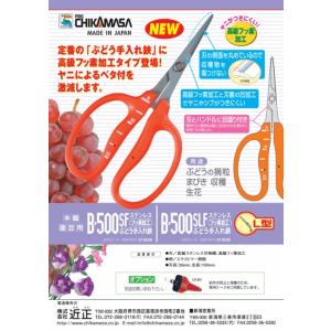 近正 ぶどう鋏 B-500SLF L型 曲げ刃...の詳細画像1