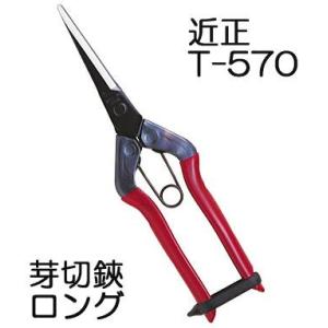 近正 T-570 芽切鋏 ロング チカマサ (ネコポス)