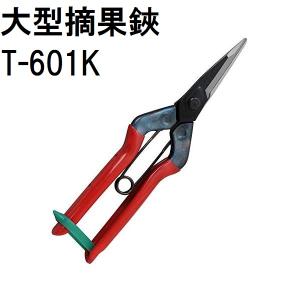近正 大型摘果鋏 刃先薄刃 T-601K 園芸鋏 采園鋏 チカマサ (ネコポス)　zm