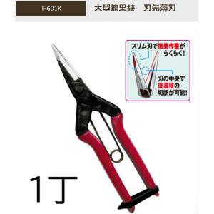 近正 大型摘果鋏 刃先薄刃 T-601K 園芸...の詳細画像1
