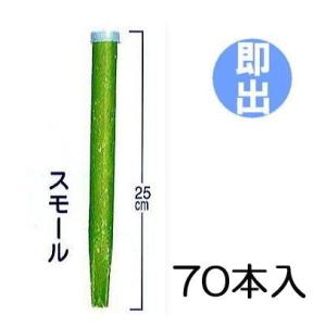 (70本入) 業務用 グリーンパイル スモール G-100 2×25cm ジェイカムアグリ