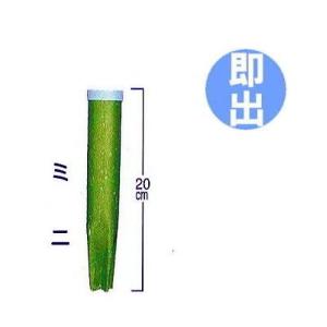 3000枚入) シンワ 高品質 フラワースリーブ 多孔 花袋 8号 #25 250/100