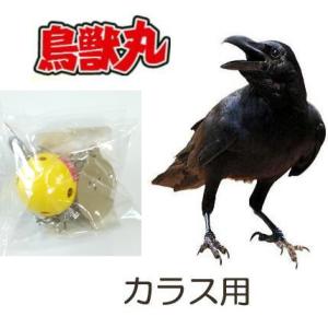 (在庫限り) 鳥獣丸 (カラス用) 鳥獣被害対策品 動物が嫌がる波動を利用 ※ハシボソカラスのみ有効...