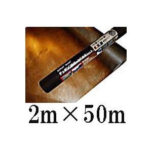 デュポン Xavan ザバーン 防草シート 2m×50m 厚さ0.4mm ブラウン/ブラック XA-125BB2.0 (旧品番：XA-128BB2.0) (法人個人選択)｜tackey