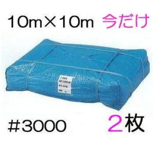 (2枚セット) 高品質 ブルーシート 厚手＃3000 10m×10m 10×10m ラミネートコーテ...