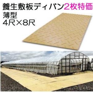 養生敷板 ディバン 薄型 片面凸 4尺×8尺×13mm 1219×2438×13mm (8mm凸部