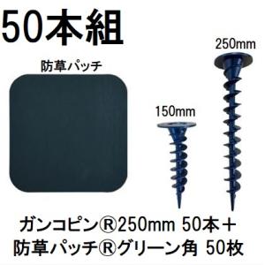 (50本組セット) デュポン ザバーン ガンコピン250mm 50本+防草パッチ 50枚 グリーン ...