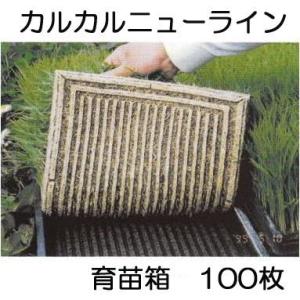50枚セット) 育苗箱 カルカルニューライン 軽労化育苗箱 (法人個人選択