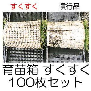 (中敷き不要) 育苗箱 すくすく 100枚セット 軽労化育苗箱