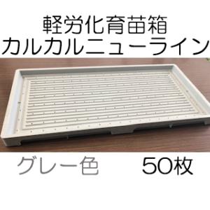 欠品中 5月入荷予定）(40個セット) 日本製 中苗用育苗箱 水稲用 内寸