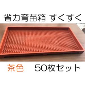スズテック中成苗用育苗箱180枚セット埼玉県 育苗箱 中苗用の通販｜育苗資材｜田植え用品｜ホームセンターナフコ