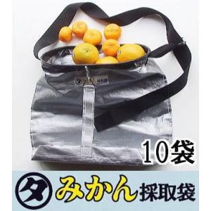 50枚セット) ベンリークロス 収穫袋 収穫布 H750×1500 ブルー ネギマキ