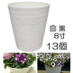 400個 18cm 黒 TO スリットコンテナ -SC180 東海化成 受注生産 京G 代
