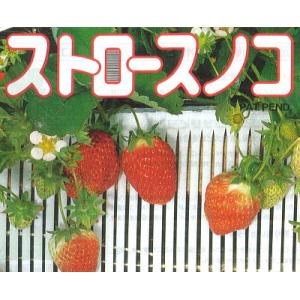 (8巻セット特価) セキスイ ストロースノコ I型 (いちご用) 巾25cm×長さ25ｍ I型-25...