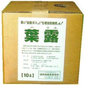 3000枚入) シンワ 多孔 フラワースリーブ (カーネーション用) C-3 #25