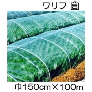 (5本セット特価) 日石 ワリフ HS-1500 白 幅150cm×長100ｍ 1.5×100m 遮光率5％ 不織布 (日石ワリフ農業用) 日新商事 JX日鉱日石エネルギー｜tackey