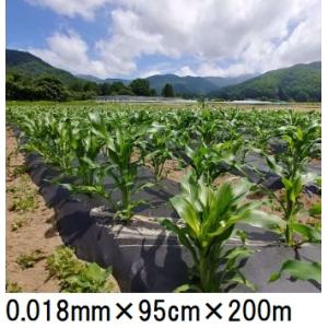 生分解性マルチフィルム キエ丸 黒 0.018mm×135cm×200m 消えるマルチ