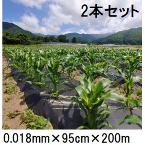 2本 生分解性マルチフィルム カエルーチ 黒 無孔 0.018mm×110cm×400m