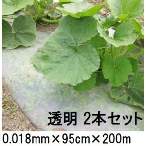 2巻セット) 生分解性マルチフィルム カエルーチ 透明 無孔 0.018mm