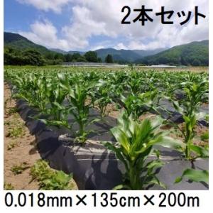 生分解マルチ カエルーチ 黒 (厚み)0.018mm×(幅)95cm×(長さ)200m 2本入