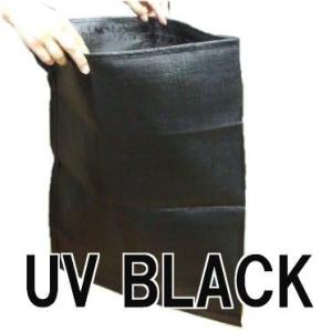 (200枚セット) 安全土のう UVブラック 48cm×62cm BLACK 長期耐候型 土のう袋 土嚢袋 萩原工業｜tackey