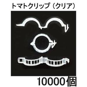 (ケース) パスカル トマトクリップ クリア 10000個単位