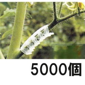 100個セット 白・黒選択) パスカル トマト誘引フック ローラーフック