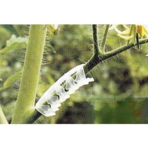 100個セット 白・黒選択) パスカル トマト誘引フック ローラーフック