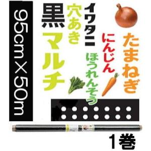 岩谷マテリアル 穴あき玉ねぎ黒マルチ7列0．02X