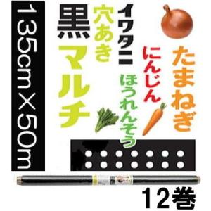 岩谷マテリアル イワタニ 菜園 たまねぎ用 穴あき黒マルチ 0.02mm