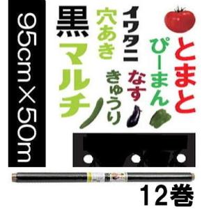 岩谷マテリアル イワタニ 菜園 たまねぎ用 穴あき黒マルチ 0.02mm