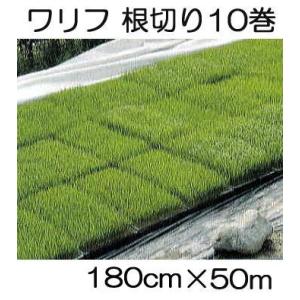 バロン愛菜NEO 幅185cm×長さ100m (EVOH製 べたがけ トンネル) : 農家の