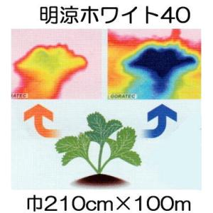 ワリフ 明涼40 幅210cm×長100ｍ 2.1×100m 遮光率40％ 不織布 (日石ワリフ農業用) 日新商事｜tackey