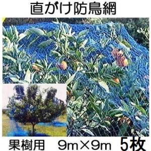 送料無料) 果樹用 直がけ防鳥網(青) 9m×9m 20mm目 1000d (強力防鳥網