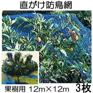 果樹用 直がけ防鳥網 6m×6m 20mm目 1000d (強力防鳥網 果樹すっぽり