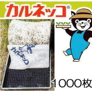 三菱（MITSUBISHI） (500枚セット) カルネッコSF 28cm×58cm 育苗用下敷