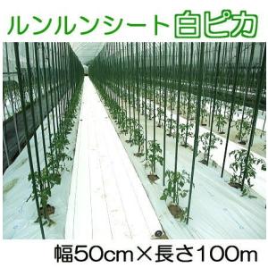 ルンルンシート 白ピカ 幅 50cm×100ｍ 光合成促進 遮熱性 防草シート 小泉製麻 (法人個人選択)｜tackey