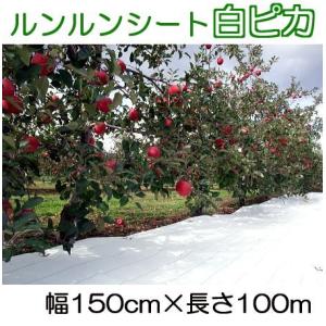 ルンルンシート 白ピカ 幅150cm×100ｍ 光合成促進 遮熱性 防草シート 小泉製麻 (法人個人選択)｜tackey