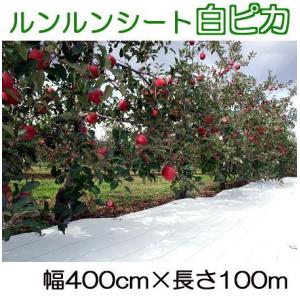 ルンルンシート 白ピカ 幅400cm×100ｍ 光合成促進 遮熱性 防草シート 小泉製麻 (法人個人選択)｜tackey