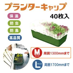 (40枚入) プランターキャップ M (2枚×20P) (保温 防虫 防鳥) 岩谷マテリアル イワタニ｜tackey