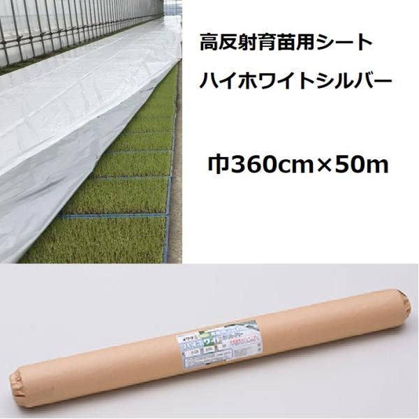 イワタニ 水稲用 ハイホワイトシルバー 厚0.05mm 幅360cm×50m 高反射 育苗用シート ...
