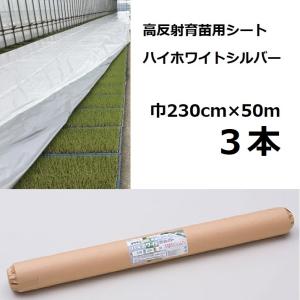 健苗シート 幅210cm×長さ50m 低発泡PEシート 水稲育苗用保温シート