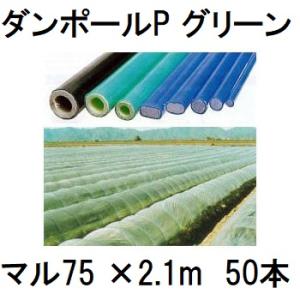 (50本セット) ダンポールP マル75×2.1ｍ 緑 トンネル幅100cm トンネル支柱 アーチ支柱 宇部エクシモ (個人宅配送OK)　saka｜tackey