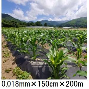 生分解性マルチフィルム キエ丸 黒 0.018mm×150cm×200ｍ 消えるマルチ (きえ丸 き...