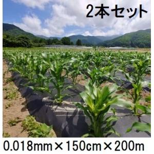 生分解性マルチフィルム キエ丸 黒 0.018mm×95cm×200m 消えるマルチ