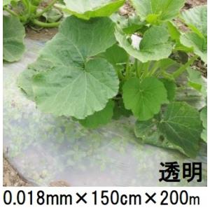 2本 生分解マルチ 黒 サンバイオXB 幅 95cm×200m 無孔 マルチ フィルム